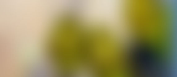 When It’s Raining Frogs, An Umbrella Is Not Enough