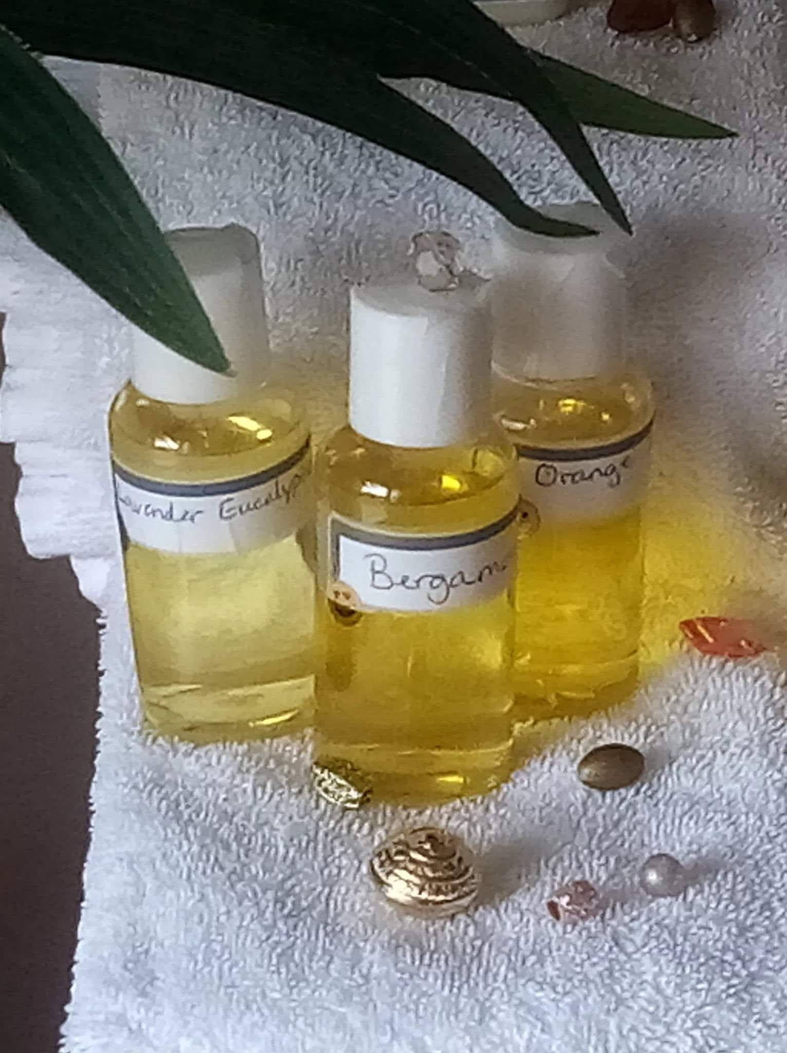 Essential Body Massage Oil 2.7 oz Grapefruit