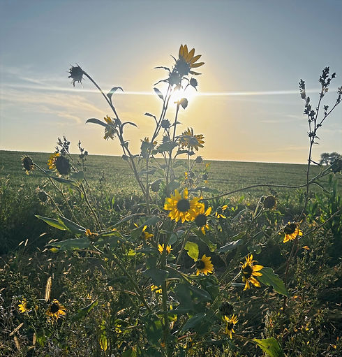 49F75404-3A43-4404-AE23-7316CCD986AC_edited.jpg