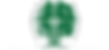 O_Logo%2520Green%2520(2)_edited_edited.p