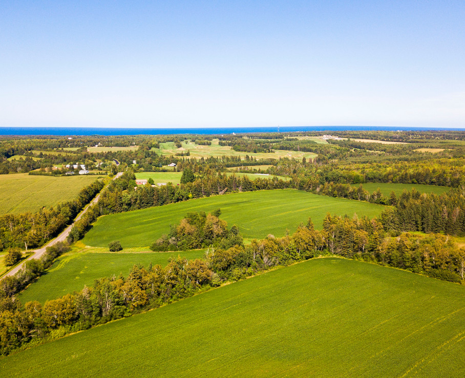 FARMS FOR SALE PEI Farms FARMS FOR SALE PEI Farms