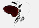 ART_20250601-143543.png