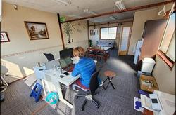 Kantor Kanzo Japan
