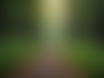 Understanding and Embracing Growth: Adopting a Growth Mindset