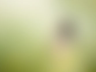 Coronavirus - A Fervent Request And A Prayer