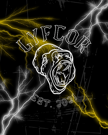LYFCOR.png
