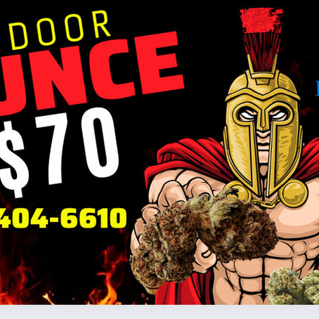 Discovering the Best Weed Delivery Services