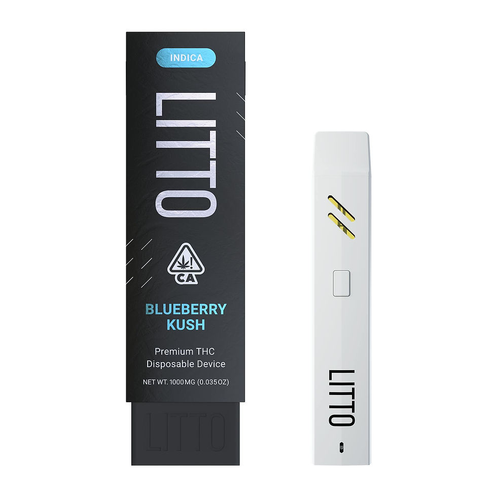 LITTO - Blueberry Kush - Premium All-In-One THC Vape Pen - 1G