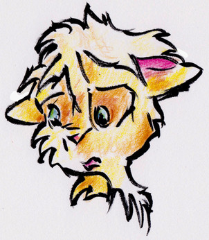 Face.jpeg