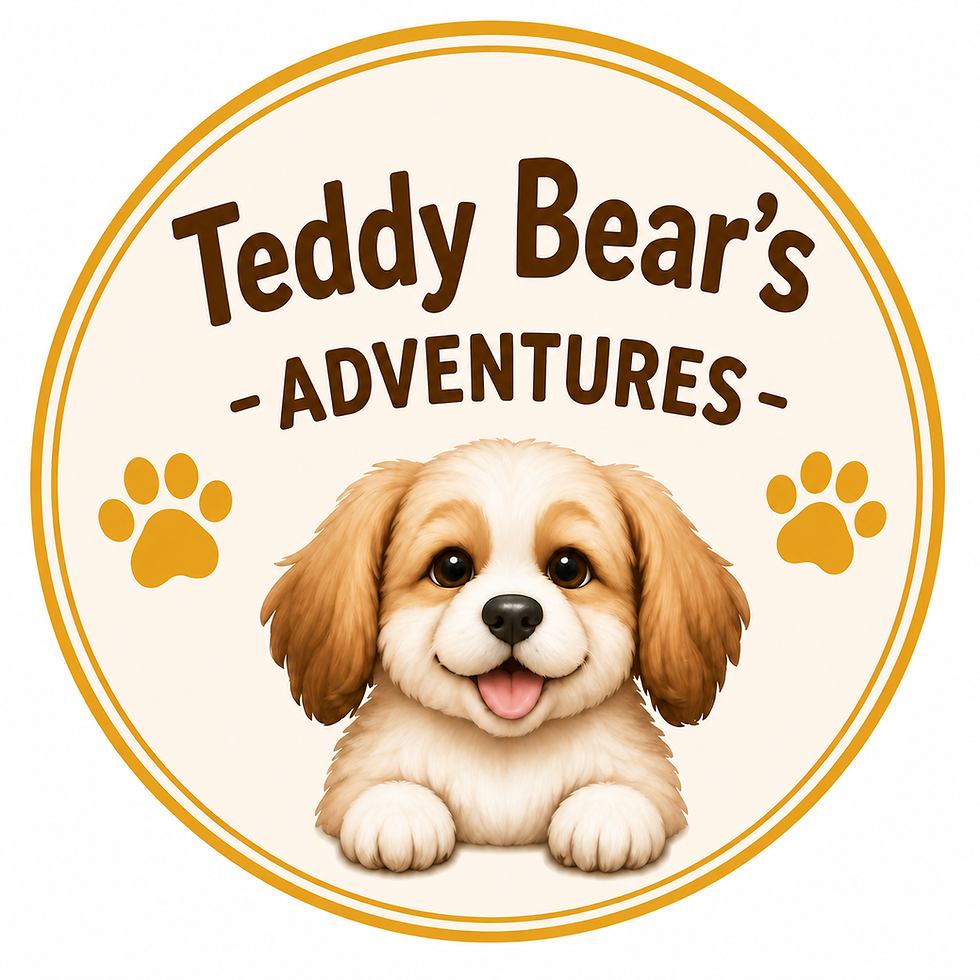 Teddy Bear Adventure Logo