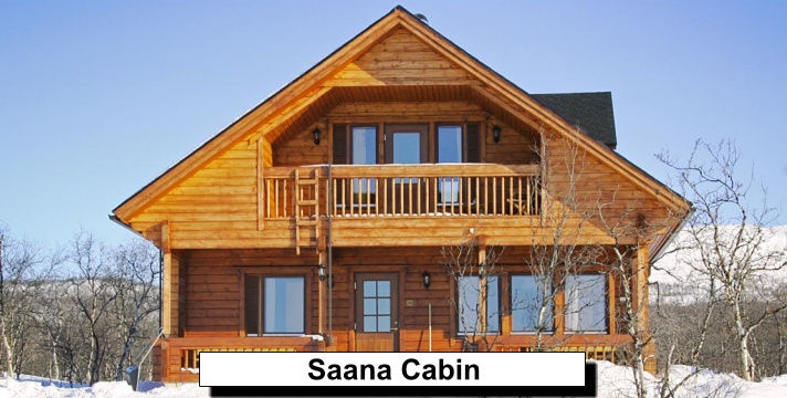 Dashing through the Snow