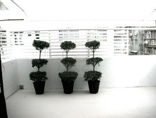 [FOR RENT] HK$68K | 55 TUNG STREET  | Sheung Wan | Hong Kong