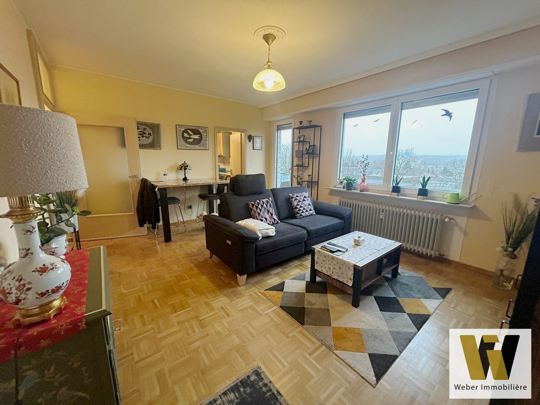 Duplicate full-resolution living-room image showing a dark sofa, coffee table, dining area, large windows, parquet floor, plants, and water outside.