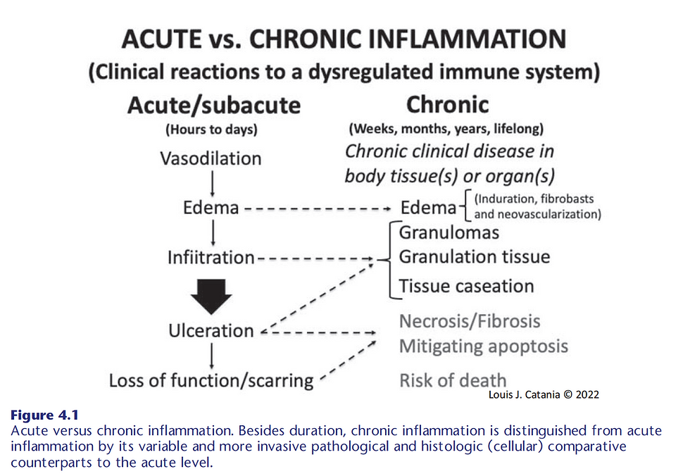 Which Of The Following Disorders Is An Inflammation Blog #14:Chronic inflammation- “Enemy #1” (Part 1: Etiologies and