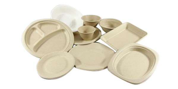 Desechables Biodegradables