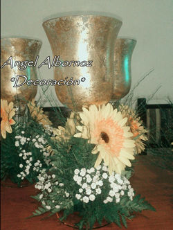 12167976_10205285583245428_578211149_n