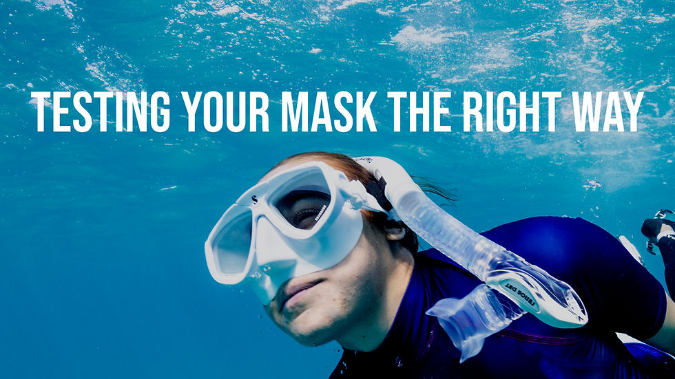 Snorkeler underwater swimming