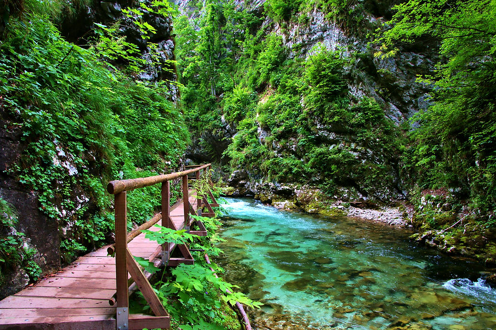 Vintgar Gorge, Slovenia