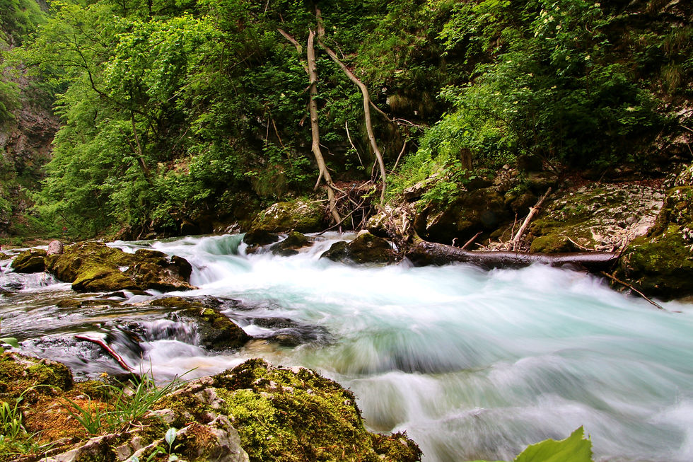 Vintgar gorge, Slovenia