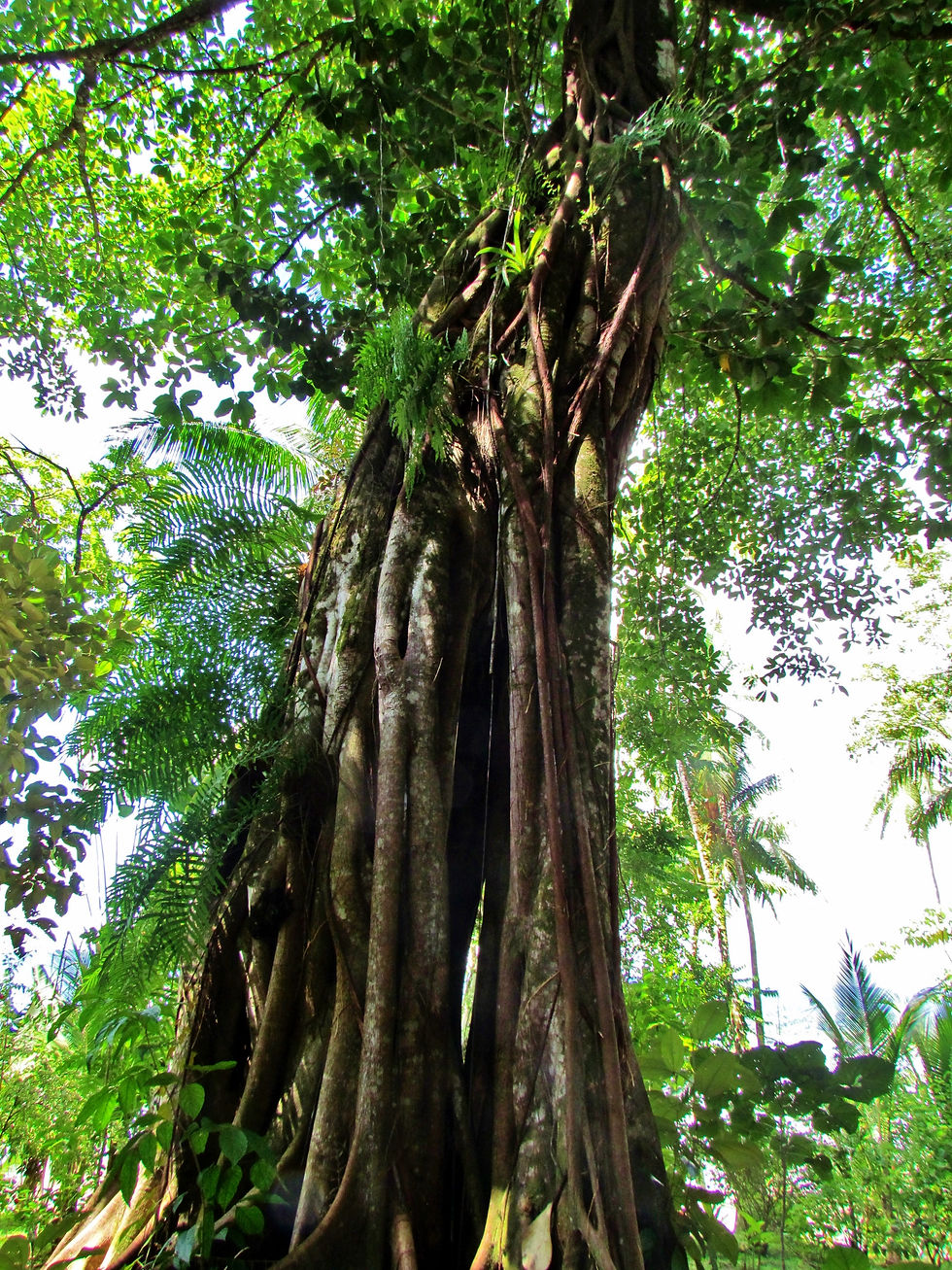 Costa Rica