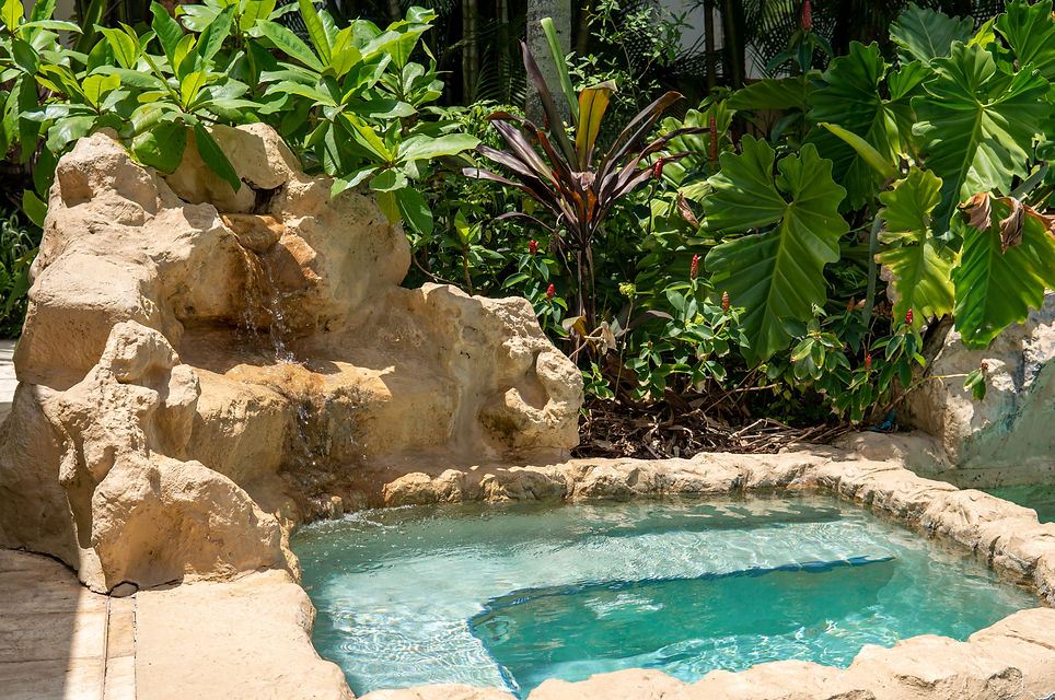Shot Pool side landscaping palm trees spa photography
