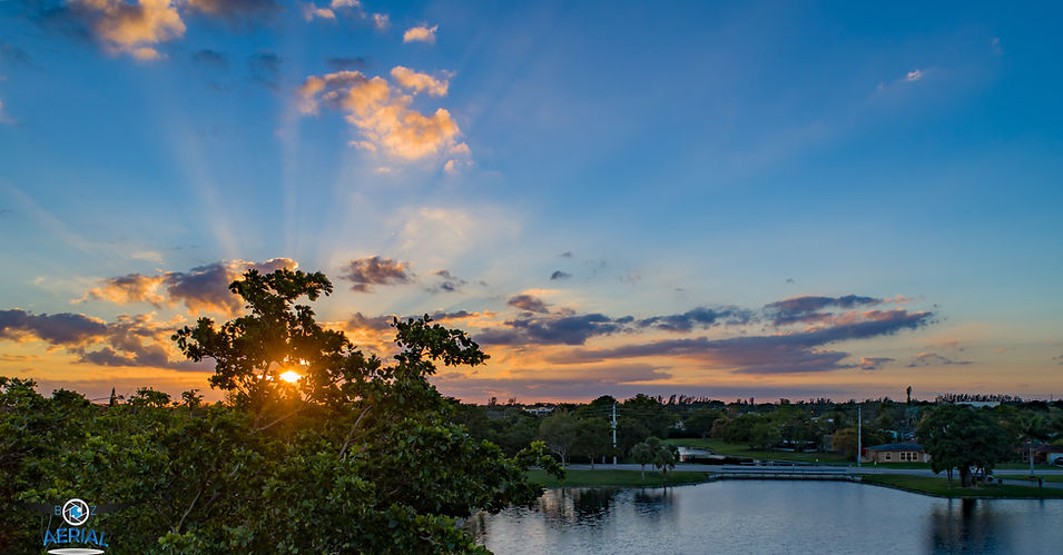 Tree Top Sunset 2.jpg