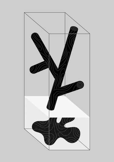 Hydroponics Material Experiments