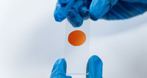Big Pharma, Big Tech, and Synthetic Sex Identities
