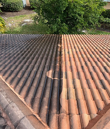 roof cleaning shingle tiles