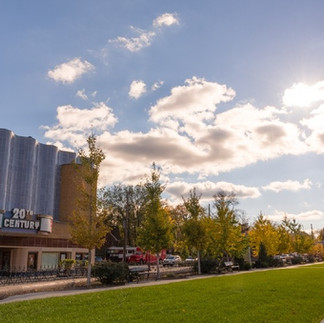 20th Century Theatre Oakley