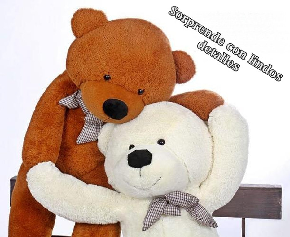 Peluches Para Regalar A Una Amiga Imagui