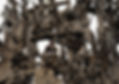 Fastnachtsbrunnen%C2%A9KORIDASS-24_edited.jpg