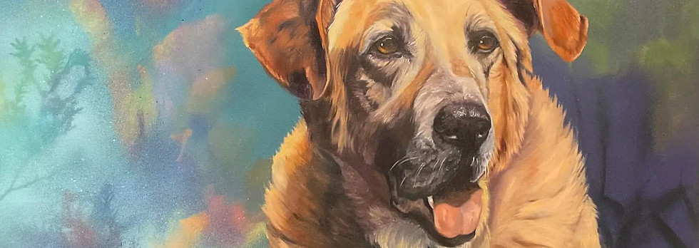 486502924_9626698240721603_5489486184639