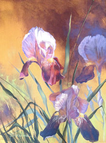 IRIS I, oil and acrylic 12 x 16 (30cm x 40cm)