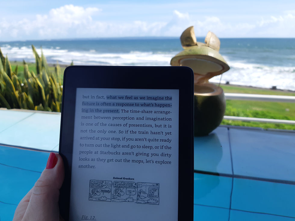 knygos, atostogos, Balis, Indonezija