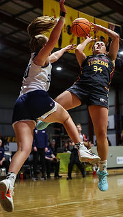 Adelaide Basketball Photographer