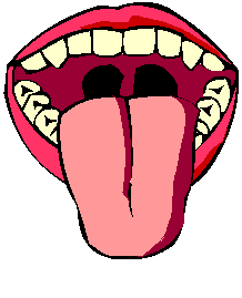 Lengua.gif