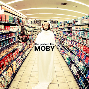 MOBY.png