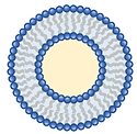 liposome.tif