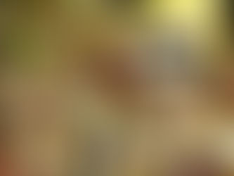 NOVEMBRO NEGRO: ILÊ AIYÊ, LUEDJI LUNA E MARGARETH MENEZES FAZEM SHOW DE R$1 NA CONCHA ACÚSTICA