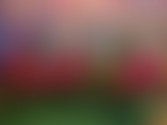 SETUR-BA DIVULGA SÃO JOÃO DA BAHIA EM SHOPPING DE SALVADOR