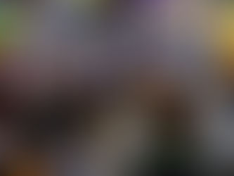 V FEIRA LITERÁRIA INFANTIL DA KURUMI