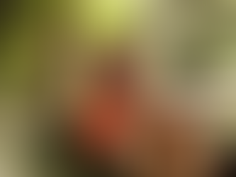 BAIANAS LANÇAM O PRIMEIRO MARKETPLACE DE JARDINAGEM DO PAÍS