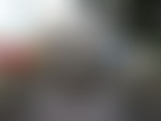 MUSEU GEOLÓGICO DA BAHIA É REABERTO AO PÚBLICO NA QUARTA-FEIRA (30)