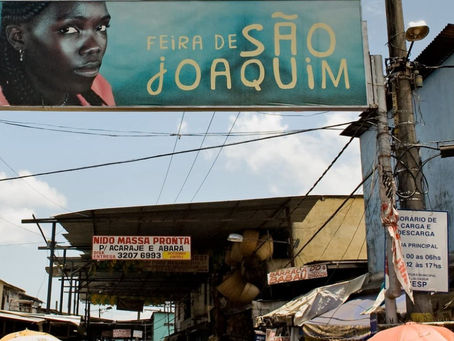 PROJETO DE LEI BUSCA RECONHECIMENTO PARA FEIRA DE SÃO JOAQUIM COMO PATRIMÔNIO CULTURAL IMATERIAL