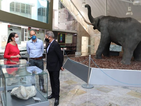 MUSEU GEOLÓGICO DA BAHIA REABRE COM NOVA IDENTIDADE VISUAL
