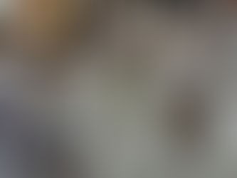 EGBOMI NICE LANÇA O LIVRO “O BAILAR DAS BORBOLETAS” NO MUSEU DE ARTE MODERNA DA BAHIA