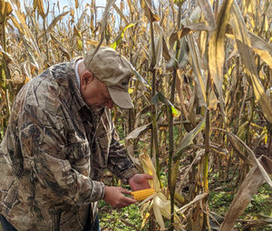 Transform Your Food Plots into a Daytime Deer Magnet