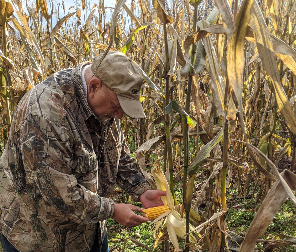 Transform Your Food Plots into a Daytime Deer Magnet
