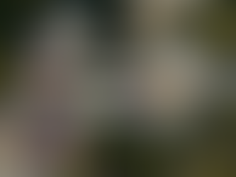 Nasce lo Slow Cinema: il manifesto per un cinema più reale, responsabile e radicato nei territori